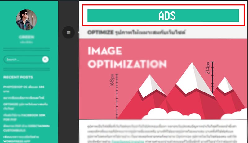 ads หารายได้จากเว็บ