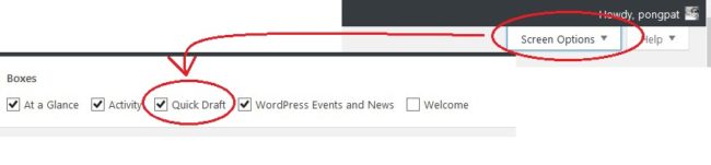 WP Screen Option