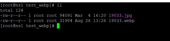 Compare File size