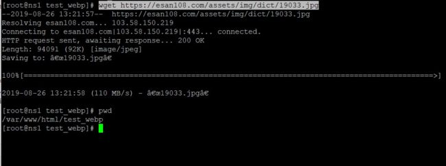 Load img with wget