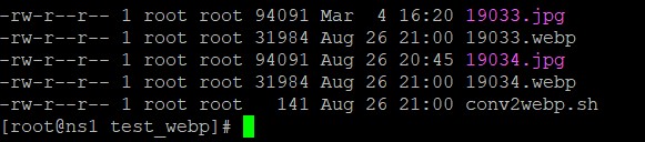 webp output